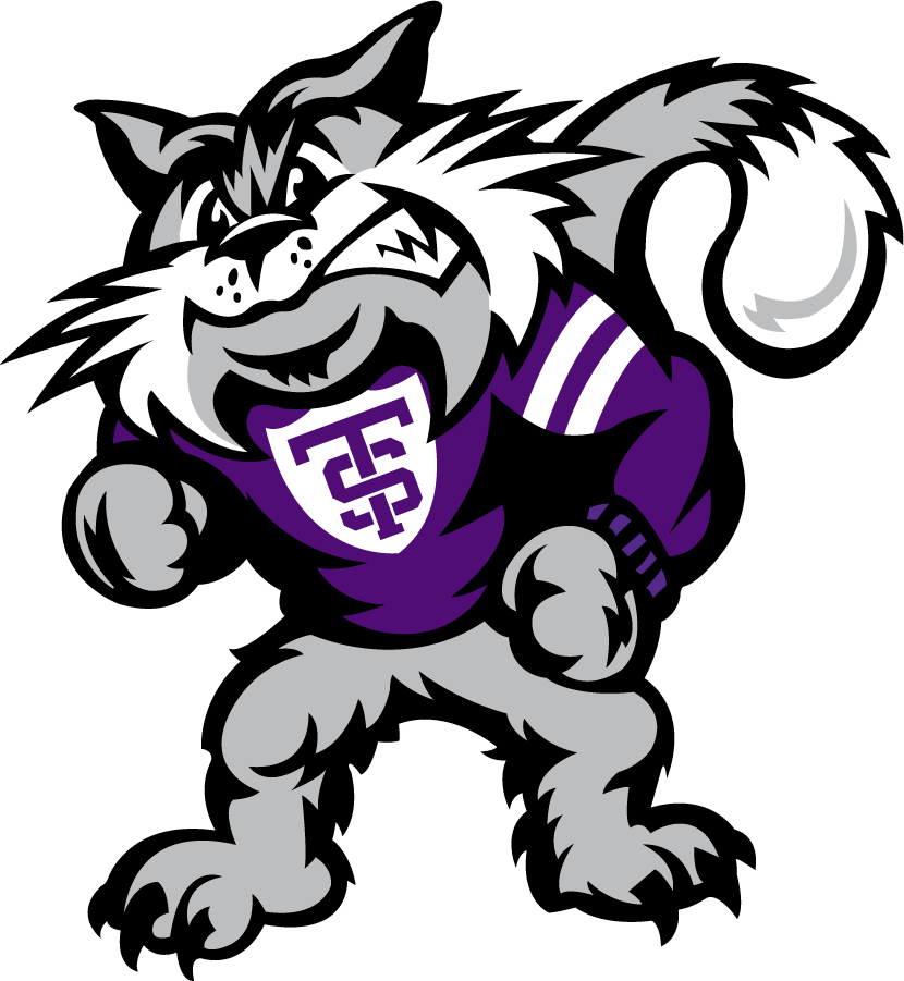 St. Thomas Tommies 2009-2021 Mascot Logo iron on transfers for T-shirts